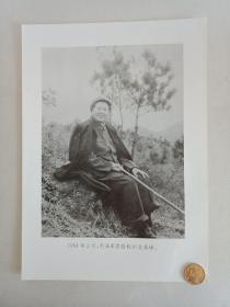 【★★★声明：这个不是冲洗照片，而是印刷图片。为免争议，请下拍前咨询】【新华社拍摄展览用印刷图片】1954年3月，毛主席在浙江杭州登临杭州北高峰老照片1张。