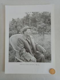 【★★★声明：这个不是冲洗照片，而是印刷图片。为免争议，请下拍前咨询】【新华社拍摄展览用印刷图片】1957年，毛主席在浙江杭州丁家山老照片1张。
