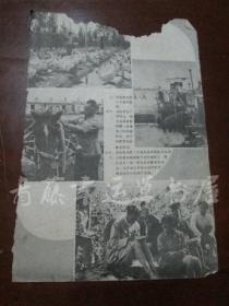 1964年复刊号：中国农垦杂志封底一张（送肥，木刻，涂玉书 作）