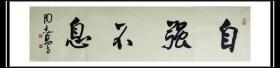 周志高书法，上海市书协主席、名誉主席，上海中国书法院院长，上海市文联副主席。横幅 ：自强不息