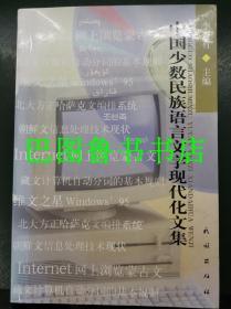 中国少数民族语言文字现代化文集