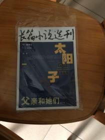 长篇小说选刊2010年太阳黑子