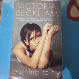 Learning to Fly：The Autobiography