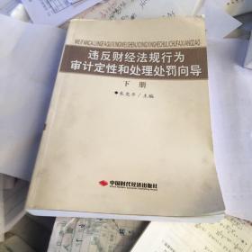 违反财经法规行为审计定性和处理处罚向导（下册）