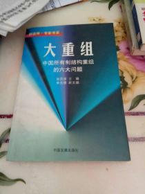 大重组:中国所有制结构重组的六大问题（1998/1年版一版一印）