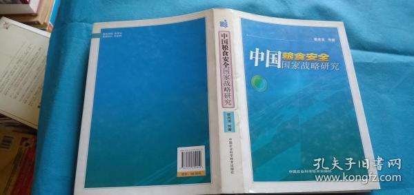 中国粮食安全国家战略研究