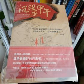 沉没的甲午：老档案、老地图，重现一场决定晚清近代化改革命运的中日战争