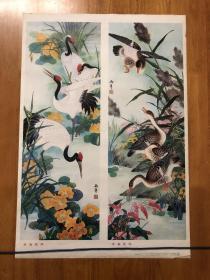 水禽花鸟 1988年画宣传画 四屏条 上海人民美术出版社