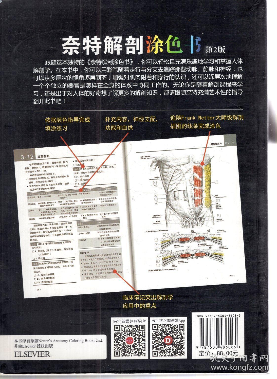 奈特解剖涂色书.第2版