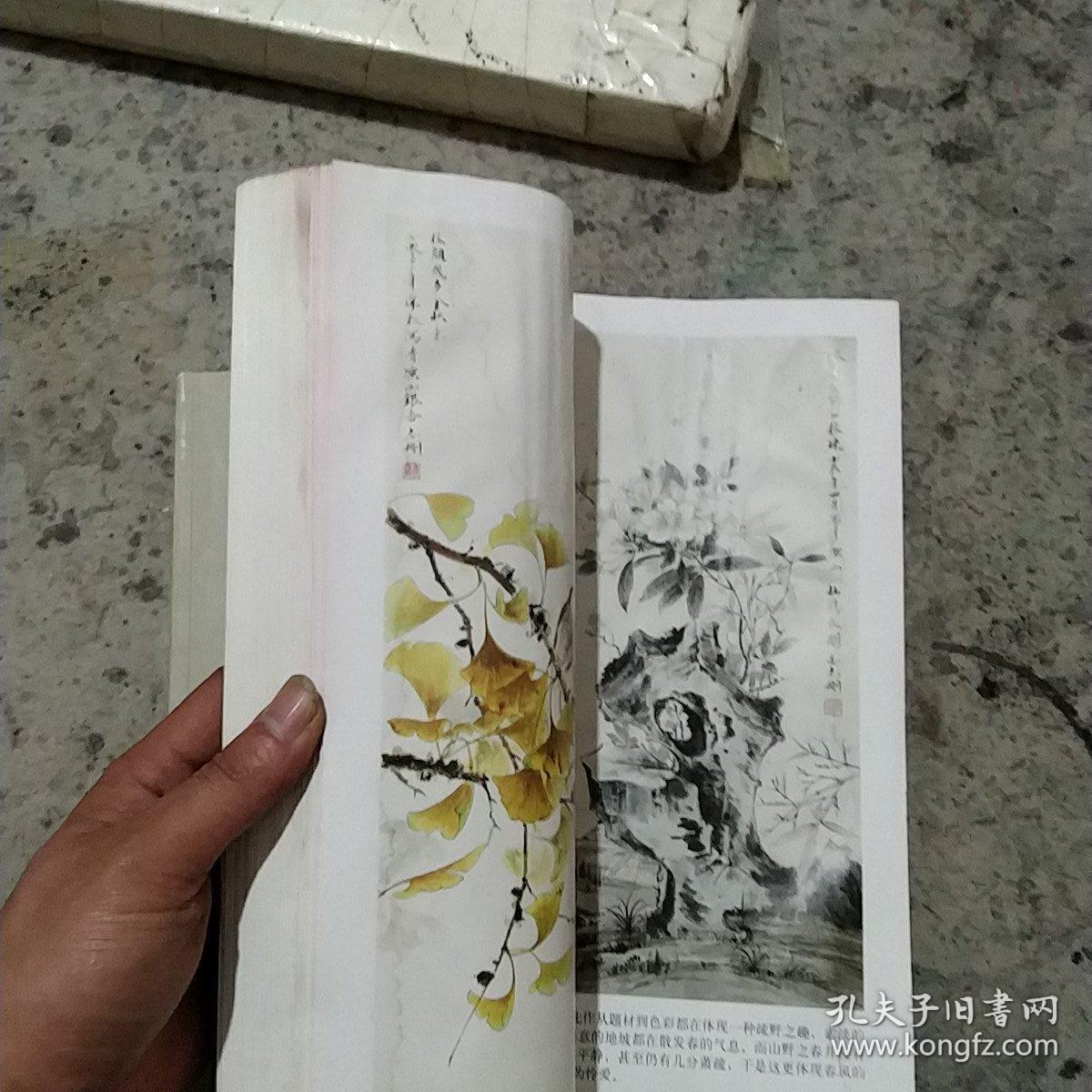 工笔花鸟设色详解＋线描详解
