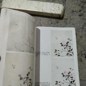 工笔花鸟设色详解＋线描详解