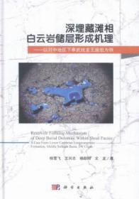 深埋藏滩相白云岩储层形成机理：以川中地区下寒武统龙王庙组为例