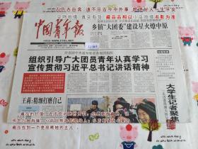 中国青年报2012年12月4日