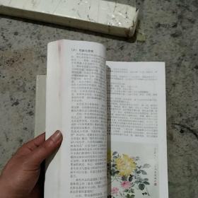 工笔花鸟设色详解＋线描详解