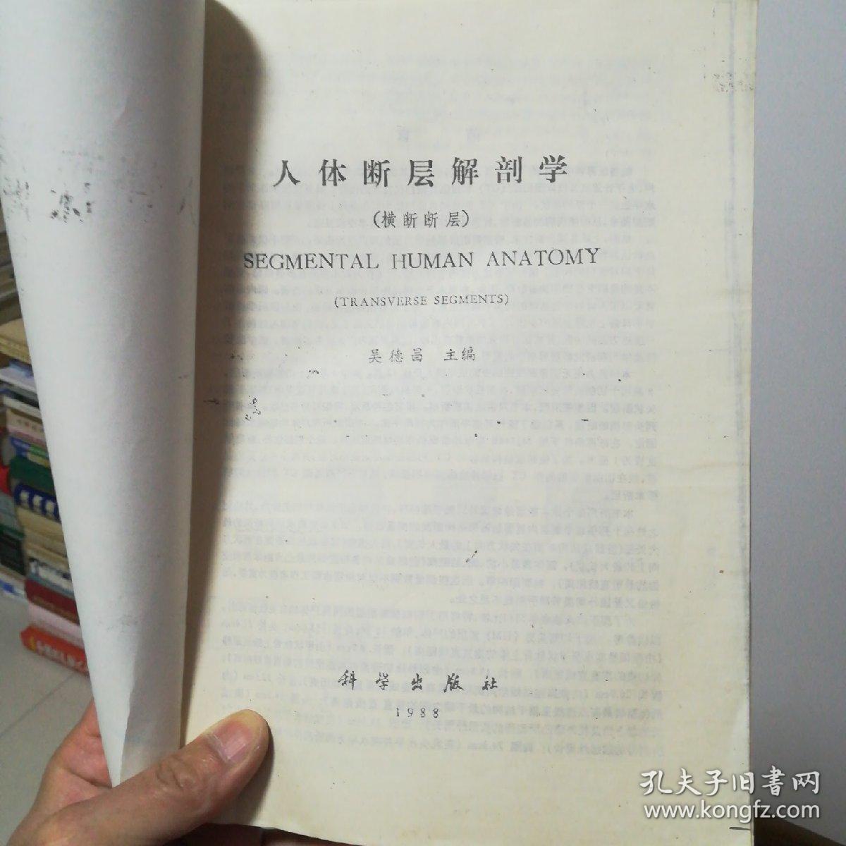 人体断层解剖学横断断层