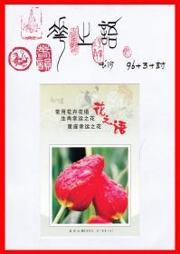 花之语火花册页贴片贴标长沙９６＋３＋封