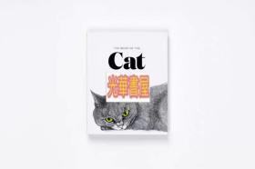 Cat 猫 的艺术绘画及插图（英文）