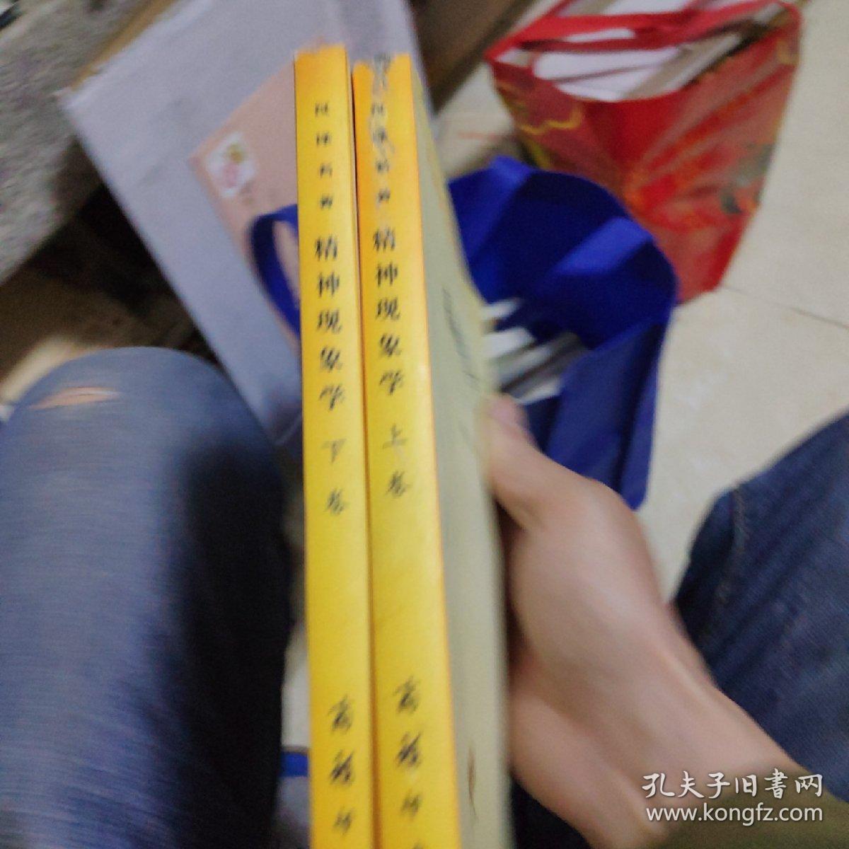 精神现象学上下卷