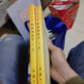 精神现象学上下卷