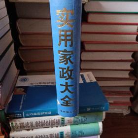 实用家政大全