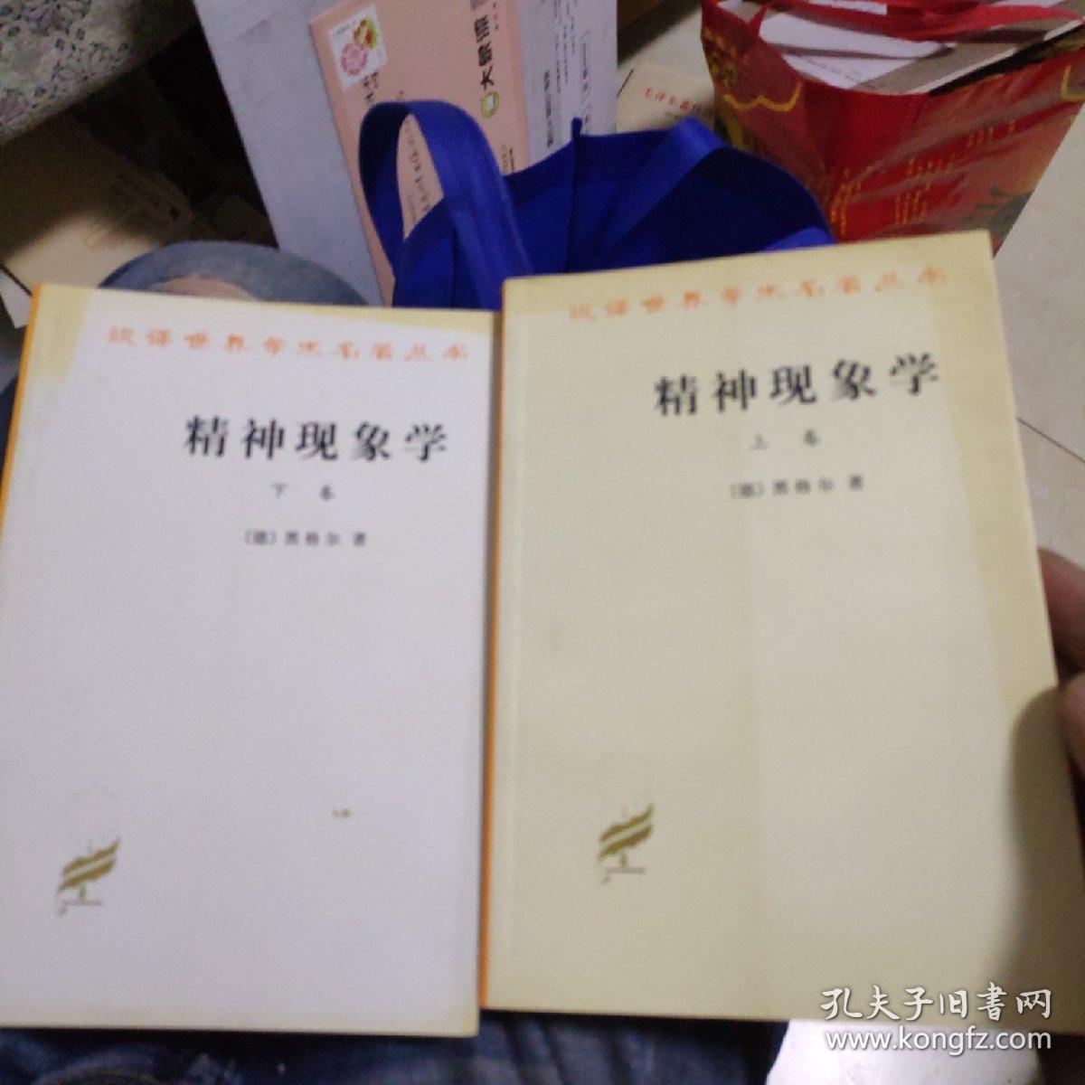 精神现象学上下卷