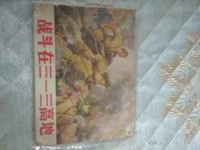 战斗在三一三高地