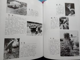 川北民俗  摄影大师谢奇著作，书内有很多80，90年代的老图片。