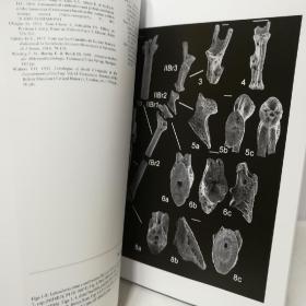 PEVUE DE PALEOBIOLOGIE  古生物学法文版