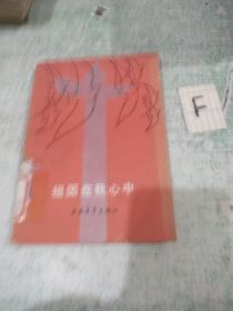 祖国在我心中（一版一印 插图本）【包邮】