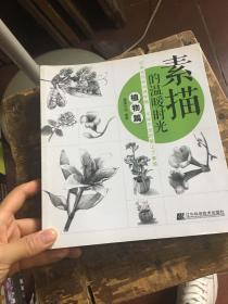 素描的温暖时光（植物篇）