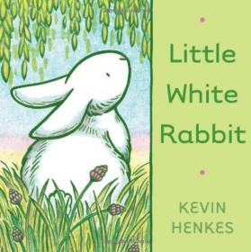 Little White Rabbit [Board Book]