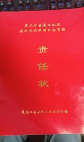 责任状
