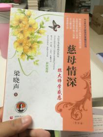 帝企鹅与大师面对面精品丛书：慈母情深（赏析版）