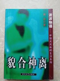 貌合神离  洪波物语——中国波波族的生活真相