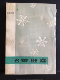 小说集（飞雪迎春）