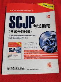 Sun认证Java程序员考试专业指导书：SCJP考试指南（考试号310-065）