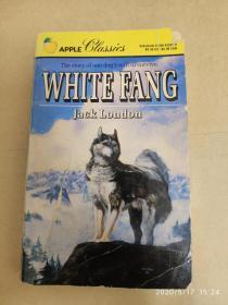 WHITE FANG 白牙