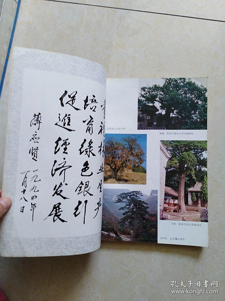 《阳泉林业志》1994年一版一印 仅印2000册