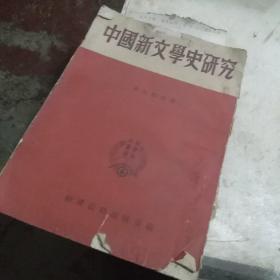 中国新文学史研究