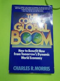 The Coming Global Boom: How to Benefit Now from Tomorrow's Dynamic World Economy