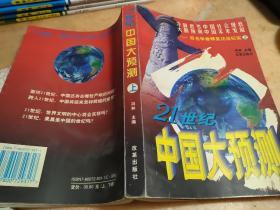 21世纪 中国大预测:百名学者精英访谈纪实 上 冯林