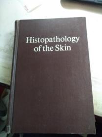 HISTOPATHOIOGY OF THE SKIN  (皮肤组织病理学)