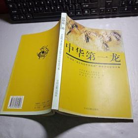 中华第一龙:95濮阳“龙文化与中华民族”学术讨论会论文集