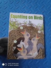 counting on birds