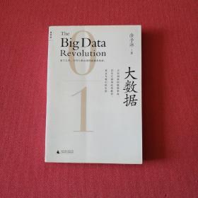 大数据：正在到来的数据革命，以及它如何改变政府、商业与我们的生活