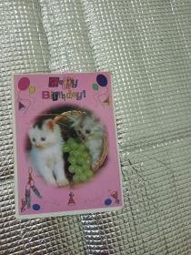 猫咪明信片贺卡
