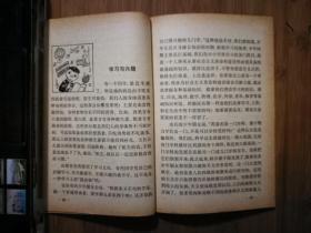 ●乖乖插图本：《和少年朋友谈谈学习文化》杜建国插图【1978年少儿版32开74页】！