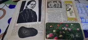 收藏剪贴画图片（贴在一本考古杂志里面，107张左右）【60年代-80年代】