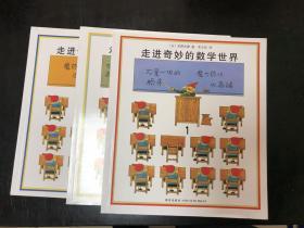 走进奇妙的数学世界（全3册）