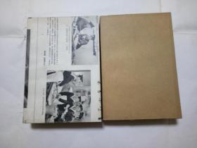 巴黎的秘密 （上下册） 1版1印（品好）